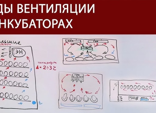 Вентиляция в инкубаторе и ее особенности