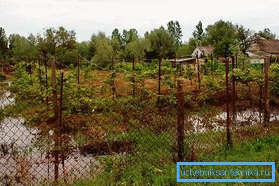 На глинистом участке после дождей стоит вода