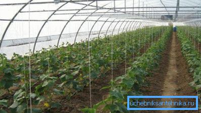 Используемая система обогрева выбирается исходя из площади агротехнического сооружения Используемая система обогрева выбирается исходя из площади агротехнического сооружения