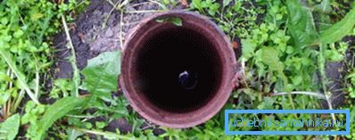 Источник чистой воды на дачном участке Источник чистой воды на дачном участке