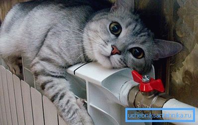 Кот греется на алюминиевом радиаторе