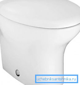На фото - фарфоровый унитаз На фото - фарфоровый унитаз