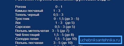Наличие растений подскажет глубину залегания водоносного слоя