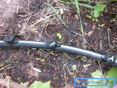 Полив винограда через трубу из полиэтилена Полив винограда через трубу из полиэтилена
