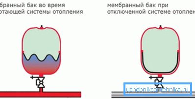 Принцип действия мембраны Принцип действия мембраны