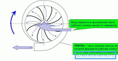 Принцип работы центробежных насосов. Принцип работы центробежных насосов.