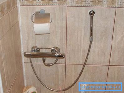 Простой вариант, который позволяет решить вопрос с гигиеной Простой вариант, который позволяет решить вопрос с гигиеной