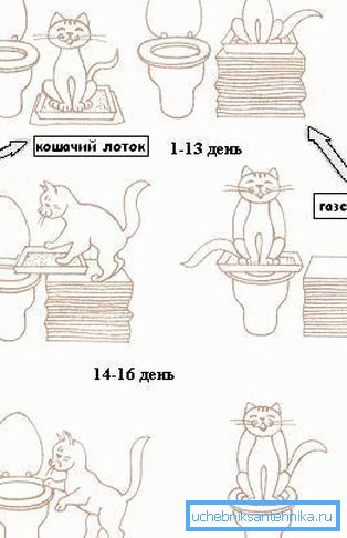 Схема формирования навыка