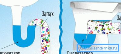 Схема работы гидрозатвора под мойкой и унитазом Схема работы гидрозатвора под мойкой и унитазом