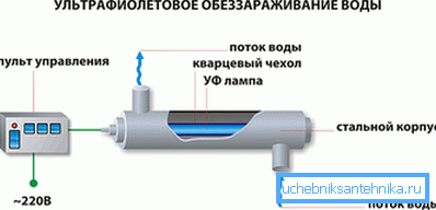 Схема работы УФ-стерилизатора Схема работы УФ-стерилизатора