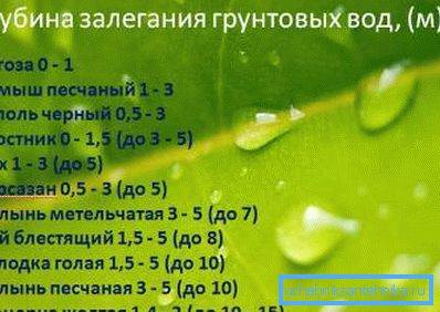 Таблица глубины залегания грунтовых вод в метрах в зависимости от растущих на поверхности растений Таблица глубины залегания грунтовых вод в метрах в зависимости от растущих на поверхности растений