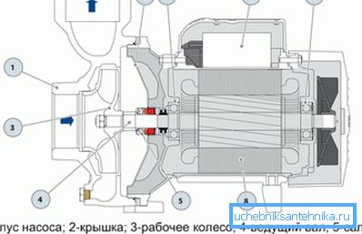 Устройство поверхностного насоса.