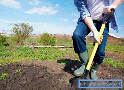 Выбрано место для установки
